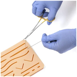 Suture Training Model